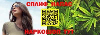 гидропоника Кунгур