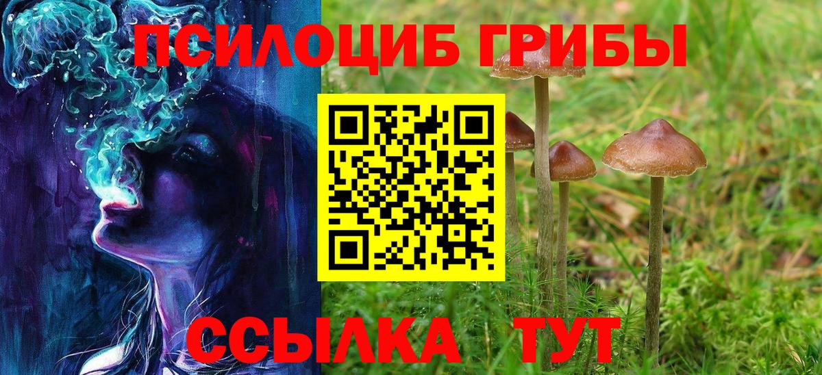 Псилоцибиновые грибы прущие грибы Туапсе